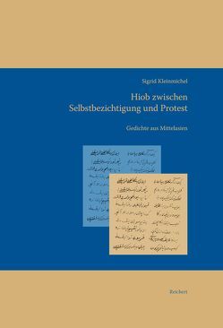 Hiob zwischen Selbstbezichtigung und Protest von Kleinmichel,  Sigrid