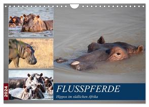 Hippos im südlichen Afrika (Wandkalender 2024 DIN A4 quer), CALVENDO Monatskalender von Quentin,  Udo