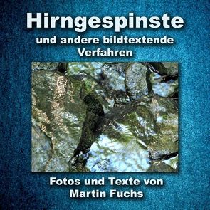 Hirngespinste von Fuchs,  Martin