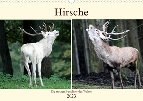 Hirsche – Die stolzen Bewohner des Waldes (Wandkalender 2023 DIN A3 quer) von Klatt,  Arno