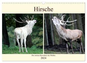 Hirsche – Die stolzen Bewohner des Waldes (Wandkalender 2024 DIN A3 quer), CALVENDO Monatskalender von Klatt,  Arno