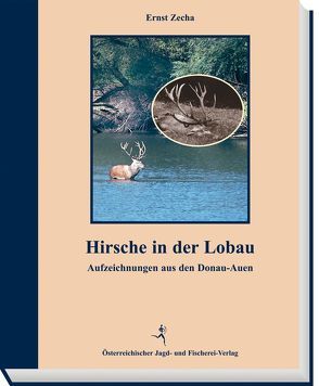 Hirsche in der Lobau von Zecha,  Ernst
