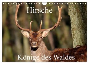 Hirsche – Könige des Waldes/Geburtstagskalender (Wandkalender 2024 DIN A4 quer), CALVENDO Monatskalender von Klatt,  Arno