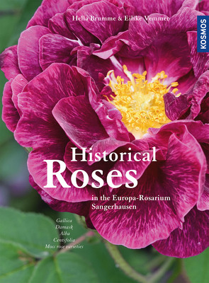 Historical Roses von Brumme,  Hella, Vemmer,  Eilike