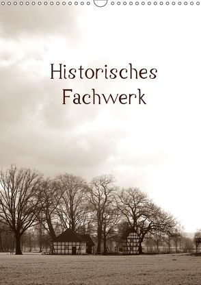 Historisches Fachwerk Terminkalender 2018 (Wandkalender 2018 DIN A3 hoch) von Riedel,  Tanja