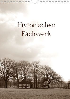 Historisches Fachwerk Terminkalender 2018 (Wandkalender 2018 DIN A4 hoch) von Riedel,  Tanja