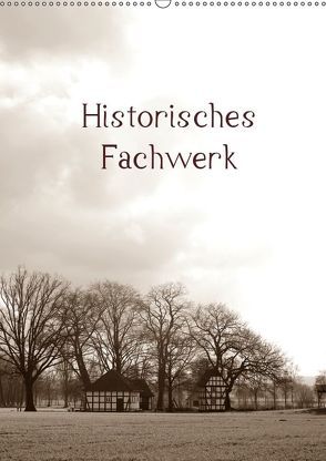 Historisches Fachwerk Terminkalender 2019 (Wandkalender 2019 DIN A2 hoch) von Riedel,  Tanja