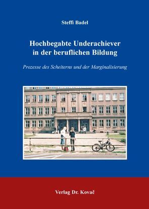 Hochbegabte Underachiever in der beruflichen Bildung von Badel,  Steffi