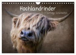 Hochlandrinder – Zottelige Schönheiten (Wandkalender 2024 DIN A4 quer), CALVENDO Monatskalender von Moeckel,  Claudia