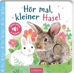 Hör mal, kleiner Hase! von Selbert,  Kathryn