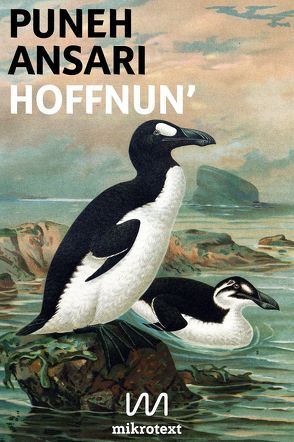 Hoffnun‘ von Ansari,  Puneh