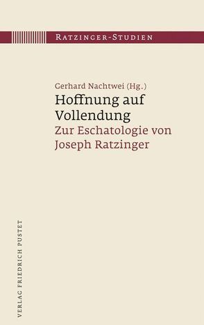 Hoffnung auf Vollendung von Nachtwei,  Gerhard