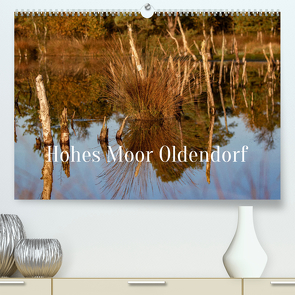 Hohes Moor Oldendorf (Premium, hochwertiger DIN A2 Wandkalender 2023, Kunstdruck in Hochglanz) von von der Heyde,  Wiebke