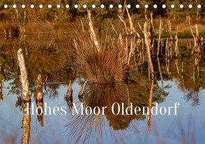 Hohes Moor Oldendorf (Tischkalender 2023 DIN A5 quer) von von der Heyde,  Wiebke