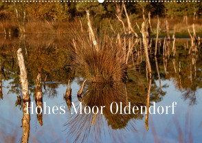 Hohes Moor Oldendorf (Wandkalender 2023 DIN A2 quer) von von der Heyde,  Wiebke