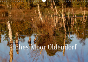 Hohes Moor Oldendorf (Wandkalender 2023 DIN A3 quer) von von der Heyde,  Wiebke