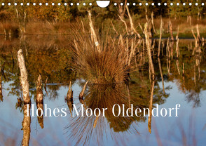 Hohes Moor Oldendorf (Wandkalender 2023 DIN A4 quer) von von der Heyde,  Wiebke