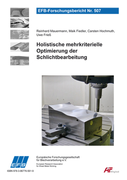 Holistische mehrkriterielle Optimierung der Schlichtbearbeitung von Fiedler,  Maik, Frieß,  Uwe, Hochmuth,  Carsten, Mauermann,  Reinhard