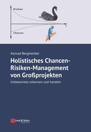 Holistisches Chancen-Risiken-Management von Großprojekten von Bergmeister,  Konrad