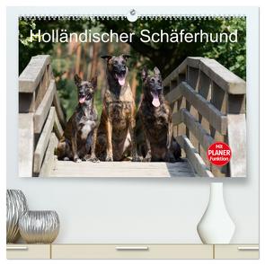 Holländischer Schäferhund (hochwertiger Premium Wandkalender 2024 DIN A2 quer), Kunstdruck in Hochglanz von Verena Scholze,  Fotodesign