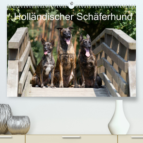 Holländischer Schäferhund (Premium, hochwertiger DIN A2 Wandkalender 2023, Kunstdruck in Hochglanz) von Verena Scholze,  Fotodesign