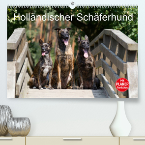 Holländischer Schäferhund (Premium, hochwertiger DIN A2 Wandkalender 2023, Kunstdruck in Hochglanz) von Verena Scholze,  Fotodesign