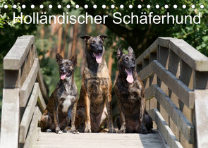 Holländischer Schäferhund (Tischkalender 2023 DIN A5 quer) von Verena Scholze,  Fotodesign