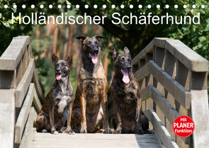 Holländischer Schäferhund (Tischkalender 2023 DIN A5 quer) von Verena Scholze,  Fotodesign