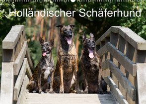 Holländischer Schäferhund (Wandkalender 2023 DIN A2 quer) von Verena Scholze,  Fotodesign