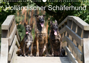 Holländischer Schäferhund (Wandkalender 2023 DIN A3 quer) von Verena Scholze,  Fotodesign