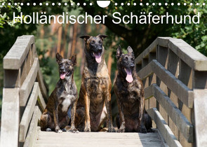 Holländischer Schäferhund (Wandkalender 2023 DIN A4 quer) von Verena Scholze,  Fotodesign