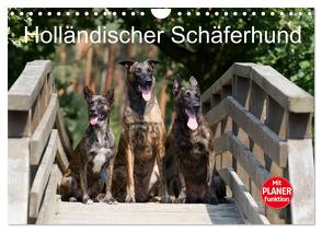 Holländischer Schäferhund (Wandkalender 2024 DIN A4 quer), CALVENDO Monatskalender von Verena Scholze,  Fotodesign