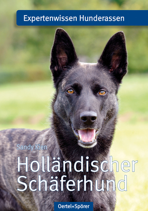 Holländischer Schäferhund von Kien,  Sandy