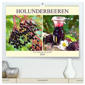 Holunderbeeren. Uralt, schön und sooo gesund! (hochwertiger Premium Wandkalender 2024 DIN A2 quer), Kunstdruck in Hochglanz von Hurley,  Rose