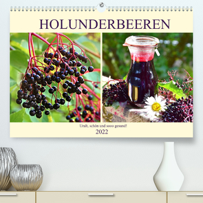 Holunderbeeren. Uralt, schön und sooo gesund! (Premium, hochwertiger DIN A2 Wandkalender 2022, Kunstdruck in Hochglanz) von Hurley,  Rose