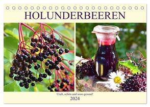 Holunderbeeren. Uralt, schön und sooo gesund! (Tischkalender 2024 DIN A5 quer), CALVENDO Monatskalender von Hurley,  Rose