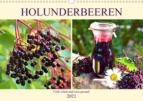 Holunderbeeren. Uralt, schön und sooo gesund! (Wandkalender 2021 DIN A3 quer) von Hurley,  Rose