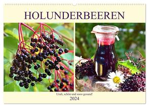 Holunderbeeren. Uralt, schön und sooo gesund! (Wandkalender 2024 DIN A2 quer), CALVENDO Monatskalender von Hurley,  Rose