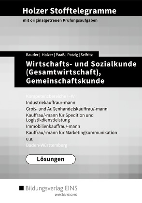 Holzer Stofftelegramme Baden-Württemberg / Holzer Stofftelegramme Baden-Württemberg – Wirtschafts- und Sozialkunde (Gesamtwirtschaft), Gemeinschaftskunde von Bauder,  Markus, Holzer,  Volker, Paaß,  Thomas, Patzig,  Ulrich, Seifritz,  Christian