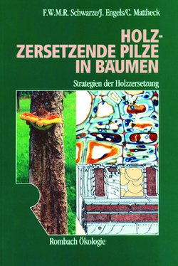 Holzzersetzende Pilze in Bäumen von Engels,  Julia, Mattheck,  Claus, Schwarze,  Francis