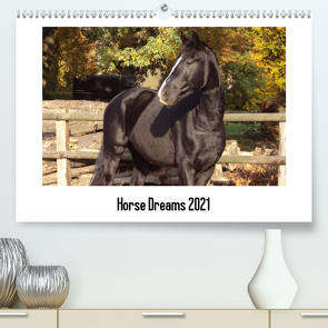 Horse Dreams (Premium, hochwertiger DIN A2 Wandkalender 2021, Kunstdruck in Hochglanz) von Meding,  Cerstin