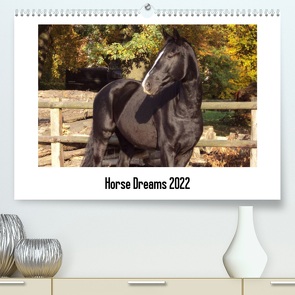 Horse Dreams (Premium, hochwertiger DIN A2 Wandkalender 2022, Kunstdruck in Hochglanz) von Meding,  Cerstin