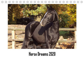 Horse Dreams (Tischkalender 2020 DIN A5 quer) von Meding,  Cerstin