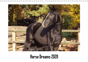 Horse Dreams (Wandkalender 2020 DIN A3 quer) von Meding,  Cerstin