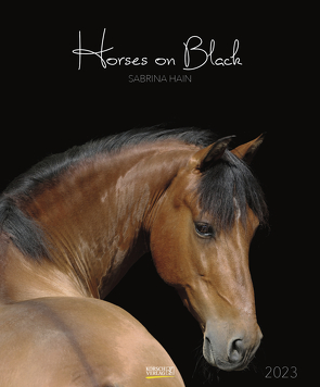 Horses on Black 2023 von Hain,  Sabrina, Korsch Verlag