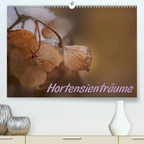 Hortensienträume (Premium, hochwertiger DIN A2 Wandkalender 2021, Kunstdruck in Hochglanz) von Petra Voß,  ppicture-