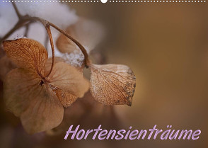 Hortensienträume (Wandkalender 2023 DIN A2 quer) von Petra Voß,  ppicture-