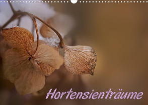 Hortensienträume (Wandkalender 2023 DIN A3 quer) von Petra Voß,  ppicture-