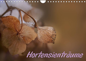 Hortensienträume (Wandkalender 2023 DIN A4 quer) von Petra Voß,  ppicture-