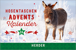 Hosentaschenadventskalender 2020